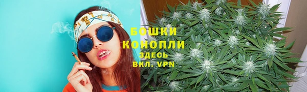 ГАЛЛЮЦИНОГЕННЫЕ ГРИБЫ Бронницы