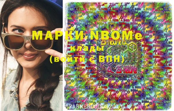 хмурый Бородино