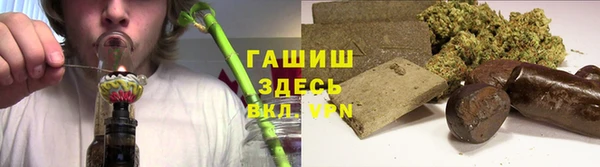 хмурый Бородино