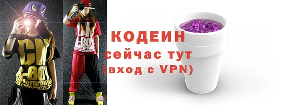хмурый Бородино