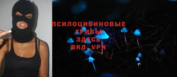 хмурый Бородино