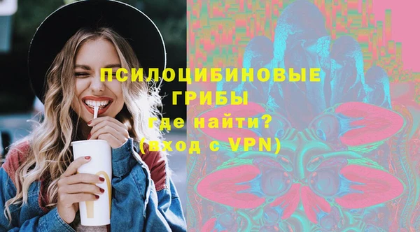 ГАЛЛЮЦИНОГЕННЫЕ ГРИБЫ Бронницы