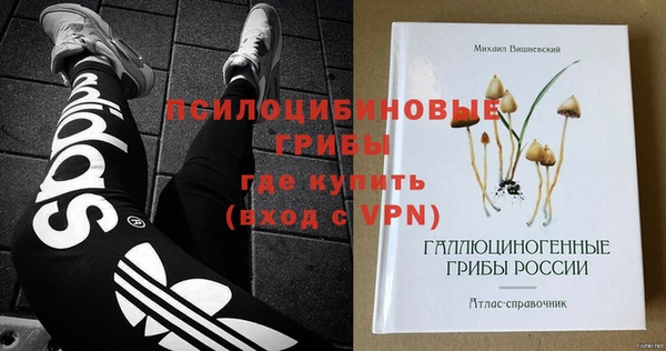 хмурый Бородино
