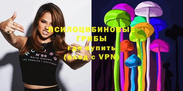 ГАЛЛЮЦИНОГЕННЫЕ ГРИБЫ Бронницы