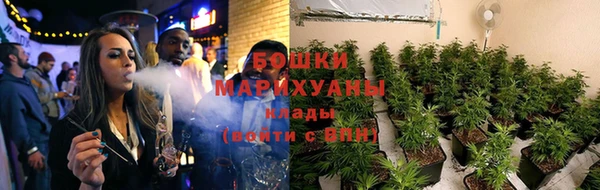 хмурый Бородино