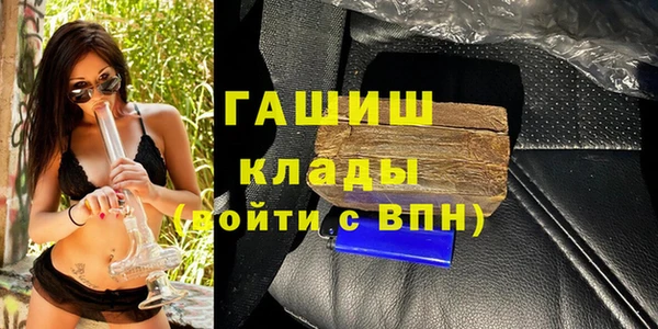 хмурый Бородино