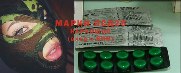ГАЛЛЮЦИНОГЕННЫЕ ГРИБЫ Бронницы
