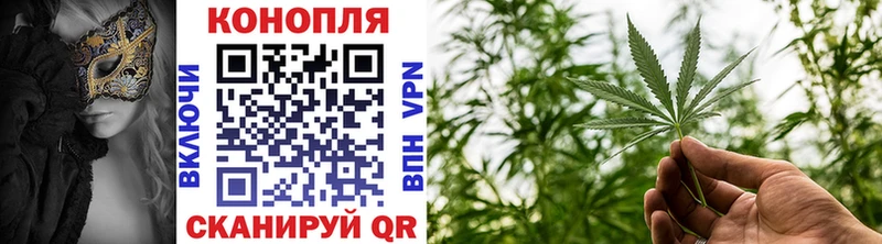 Конопля тримм  Купить закладки  Белово 